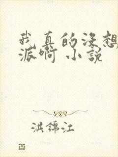 我真的没想当反派啊 小说