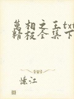 万相之王txt精校全集下载