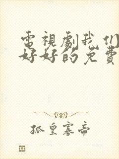 电视剧我们都要好好的免费观看完整版封面