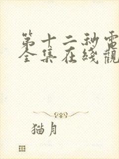 第十二秒电视剧全集在线观看免费