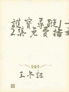 护宝寻踪1—42集免费播放