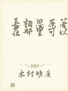 长相思原著小说在哪里可以看