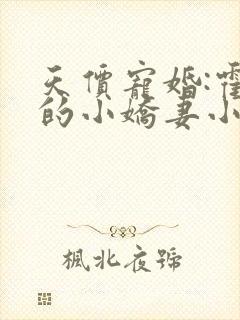 天价宠婚:霍总的小娇妻小说免费阅读