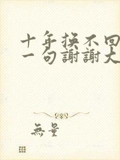 十年换不回你的一句谢谢大结局