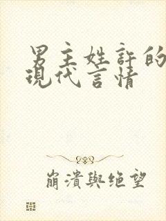 男主姓许的小说现代言情