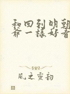 和回到明朝当王爷一样好看的小说