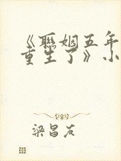 《联姻五年后她重生了》小说封面