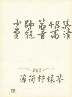 少帅第48集免费观看高清