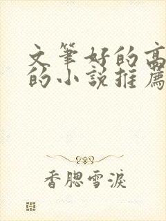 文笔好的高质量的小说推荐