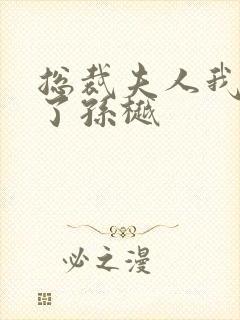 总裁夫人我当腻了孙樾