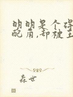 明明是个碍事的配角,却被王子宠爱了漫画