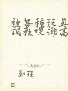 被各种玩具跳蛋调教吹潮高h小说封面