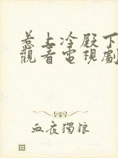 惹上冷殿下免费观看电视剧大全