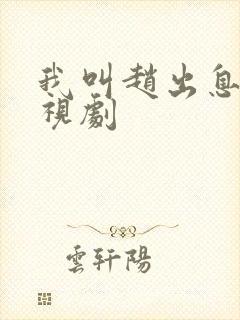 我叫赵出息的电视剧