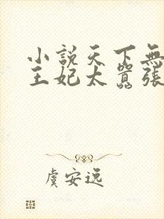 小说天下无双:王妃太嚣张