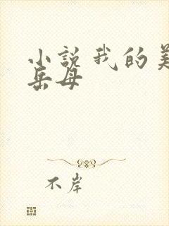 小说 我的美艳岳母