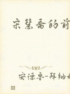 宋慧乔的前夫封面