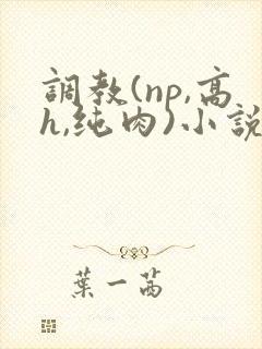 调教(np,高h,纯肉)小说封面