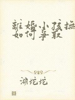 离婚小孩抚养权如何争取