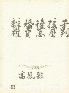 离婚后孩子抚养权费怎么判定