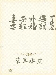 妻子外遇了老公要离婚该怎么挽回