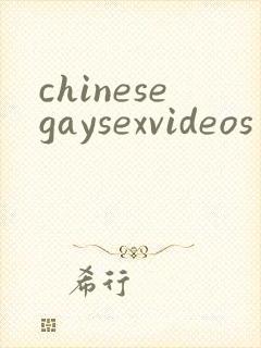 chinesegaysexvideos封面