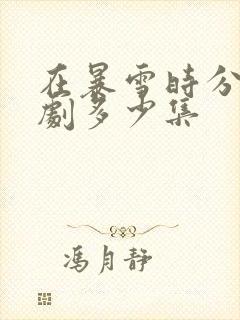 在暴雪时分电视剧多少集