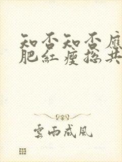 知否知否应是绿肥红瘦总共多少集