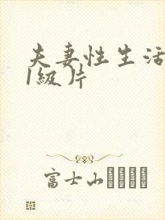 夫妻性生活黄色1级片封面