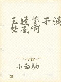 王晓赟子演过哪些剧啊