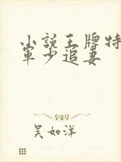 小说王牌特战之军少追妻