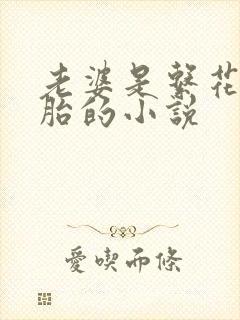 老婆是系花双胞胎的小说