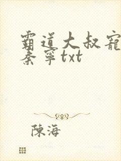 霸道大叔宠甜妻秦宁txt