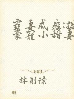 霸妻成瘾:总裁豪宠小甜妻