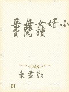 岳母女婿小说免费阅读