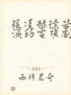 张凌赫徐若晗主演的电视剧