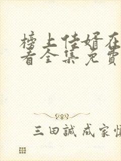 榜上佳婿在线观看全集免费播放封面