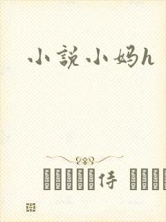 小说小妈h