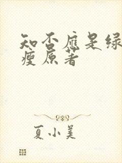 知否应是绿肥红瘦原著