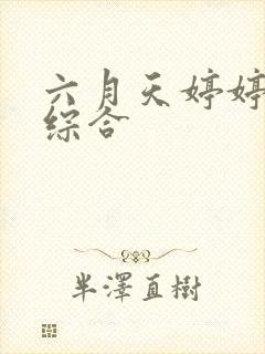 六月天婷婷丁香综合