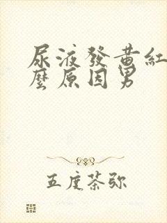 尿液发黄红是什么原因男