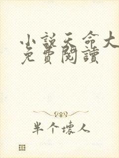 小说天命大反派免费阅读