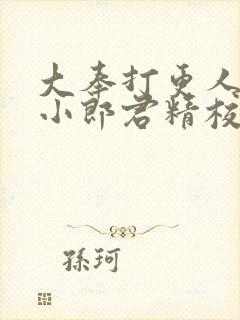 大奉打更人卖报小郎君精校版封面