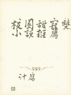 校园甜宠双学霸小说推荐