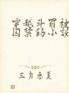 穿越斗罗被病娇囚禁的小说