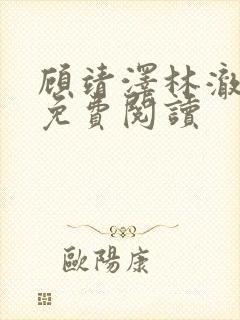 顾靖泽林澈小说免费阅读