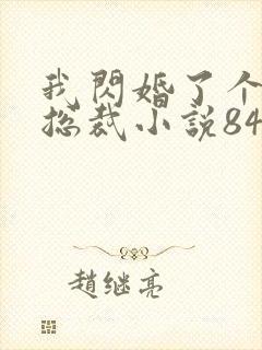 我闪婚了个亿万总裁小说84