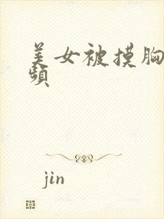 美女被摸胸的视频