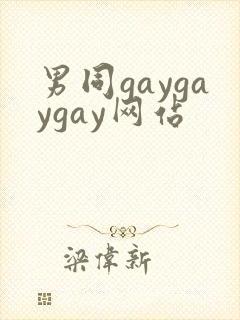 男同gaygaygay网站