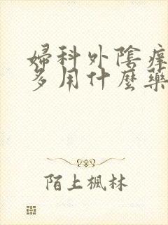 妇科外阴痒白带多用什么药物治疗